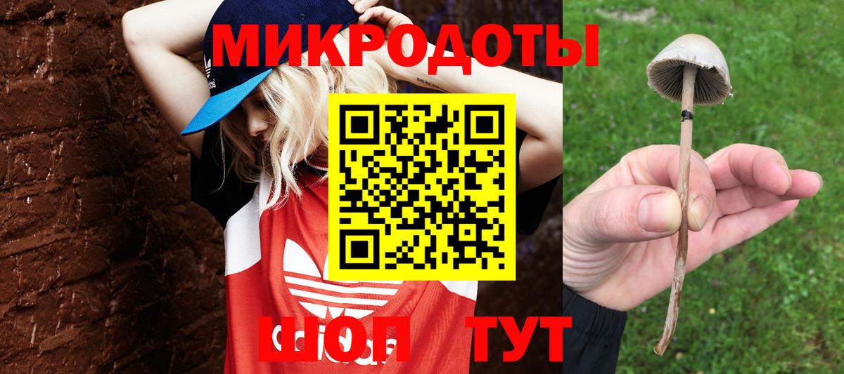 Псилоцибиновые грибы Magic Shrooms Обь